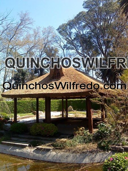 Quinchos Wilfredo