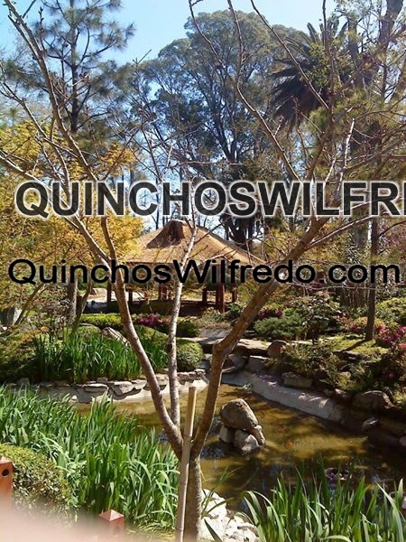 Quinchos Wilfredo
