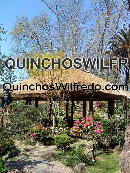Quinchos Wilfredo