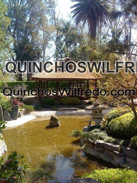 Quinchos Wilfredo