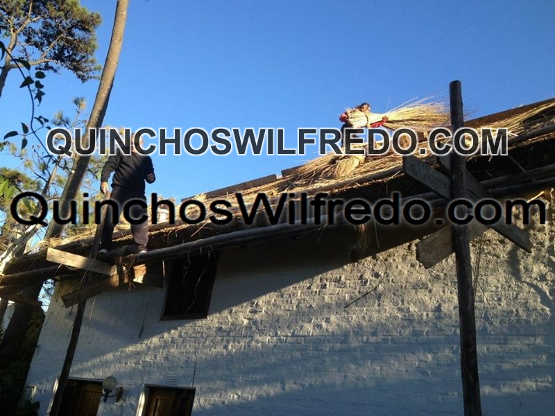 Quinchos Wilfredo