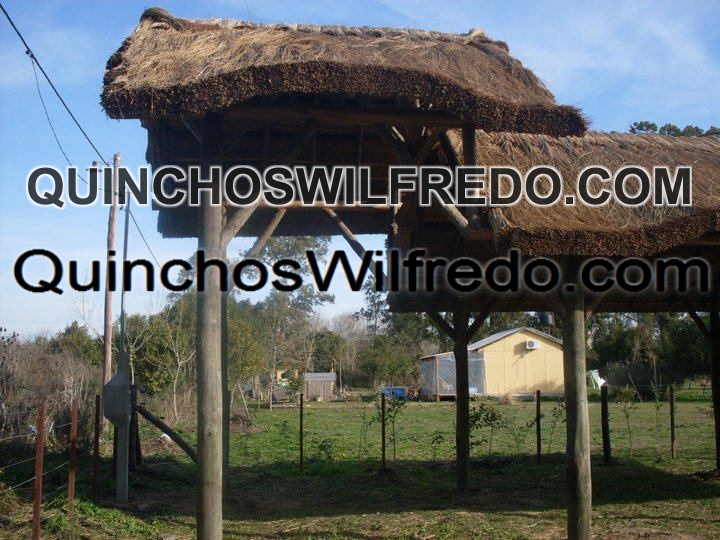 Quinchos Wilfredo