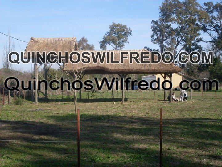 Quinchos Wilfredo