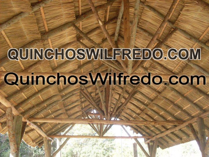 Quinchos Wilfredo