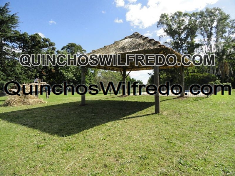 Quinchos Wilfredo