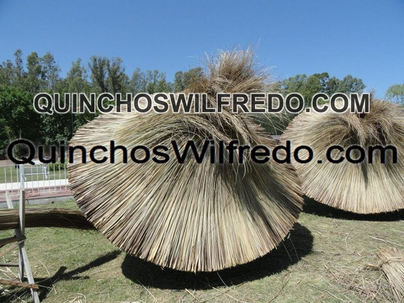 Quinchos Wilfredo