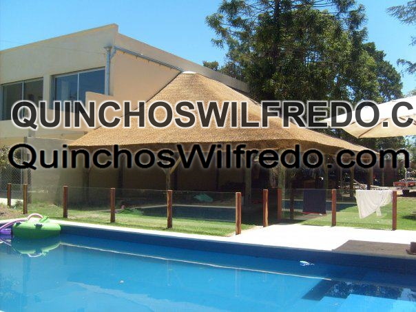 Quinchos Wilfredo