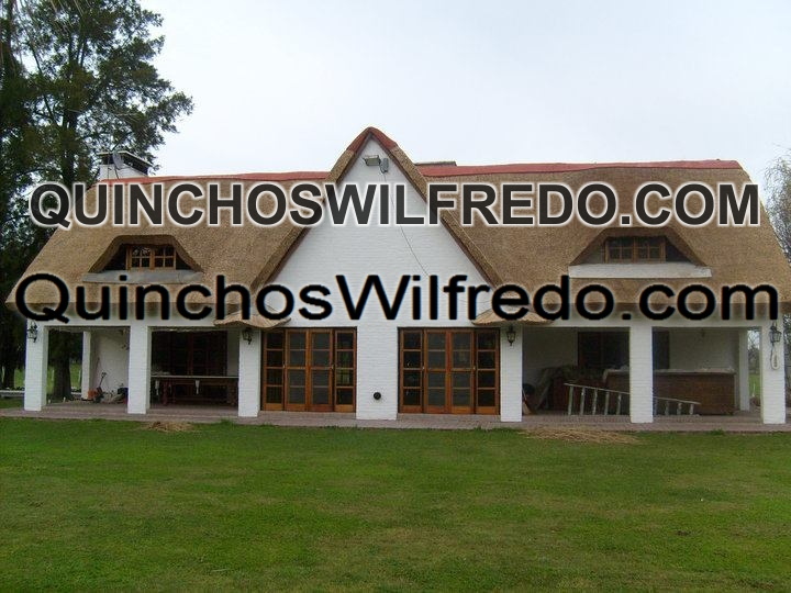 Quinchos Wilfredo