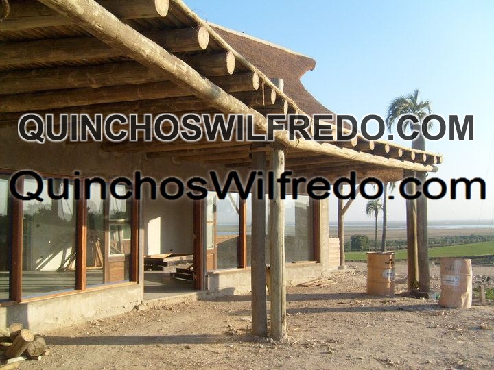 Quinchos Wilfredo