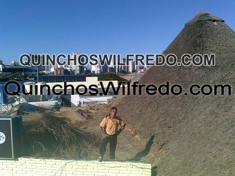 Quinchos Wilfredo