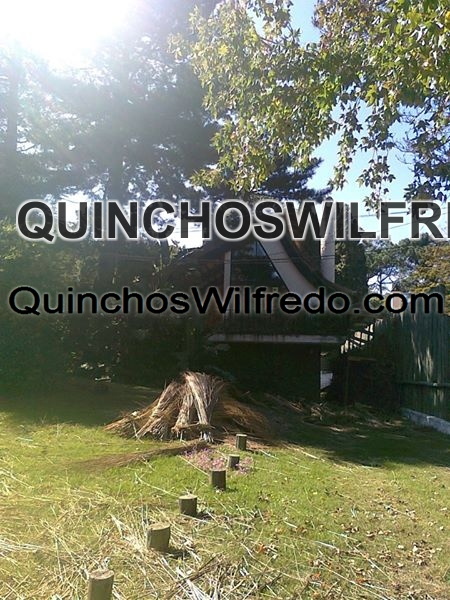 Quinchos Wilfredo