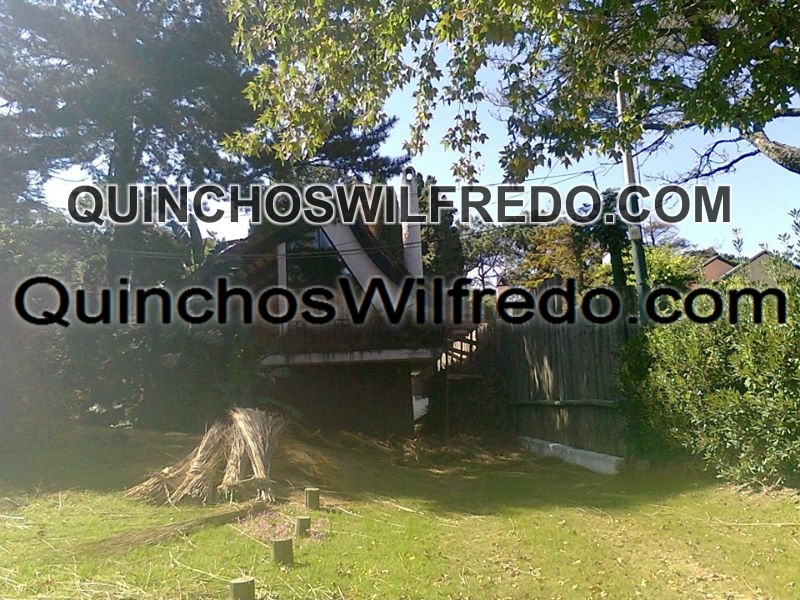 Quinchos Wilfredo