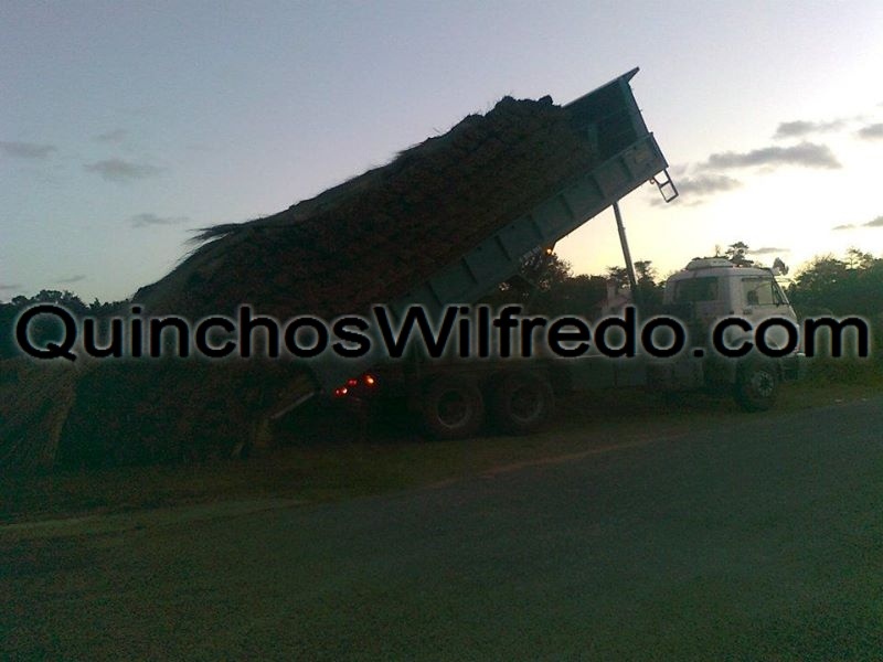 Quinchos Wilfredo