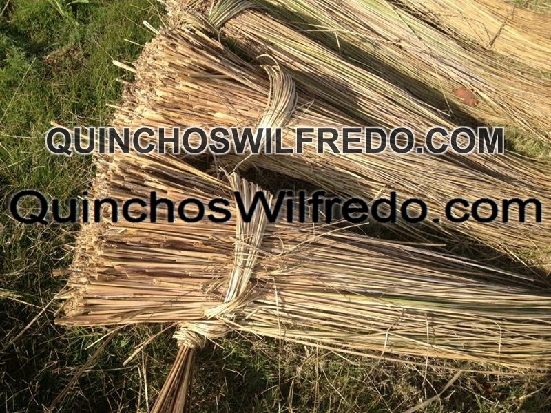Quinchos Wilfredo