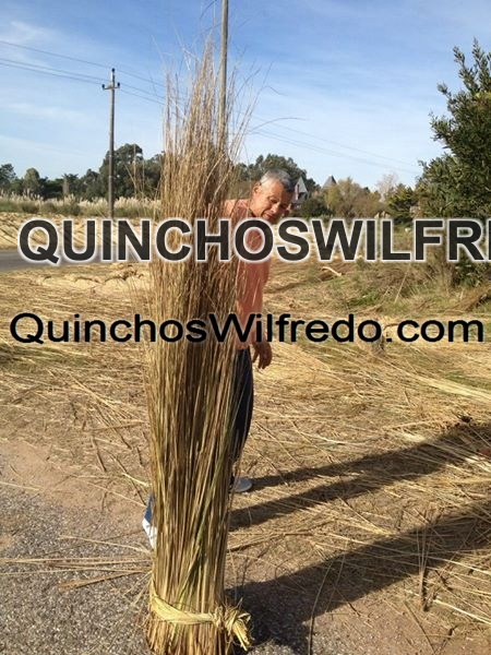 Quinchos Wilfredo