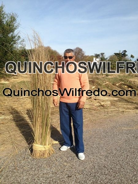 Quinchos Wilfredo