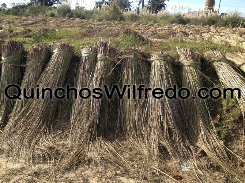 Quinchos Wilfredo