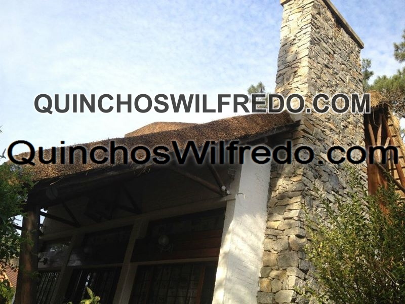 Quinchos Wilfredo