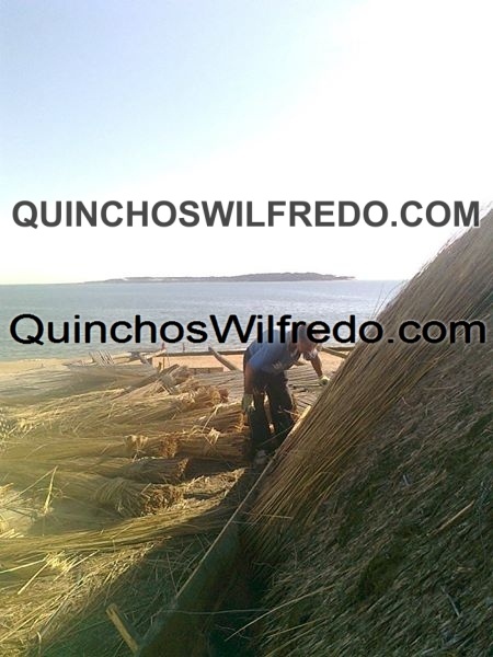 Quinchos Wilfredo