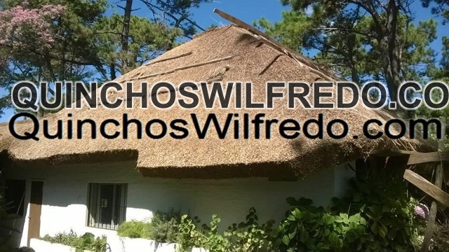 Quinchos Wilfredo