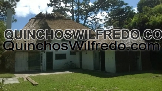 Quinchos Wilfredo