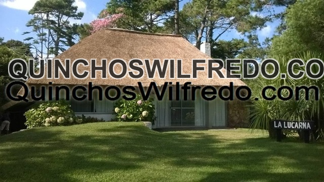 Quinchos Wilfredo