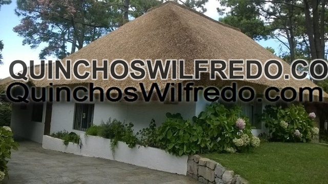 Quinchos Wilfredo