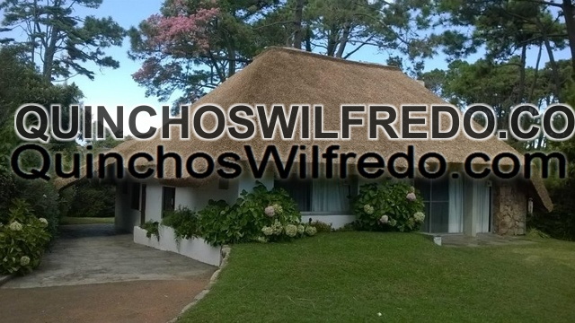 Quinchos Wilfredo