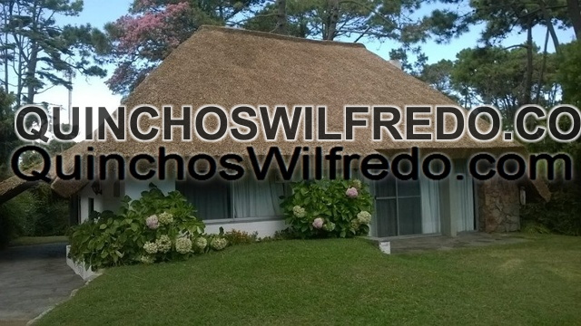 Quinchos Wilfredo