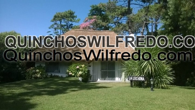 Quinchos Wilfredo