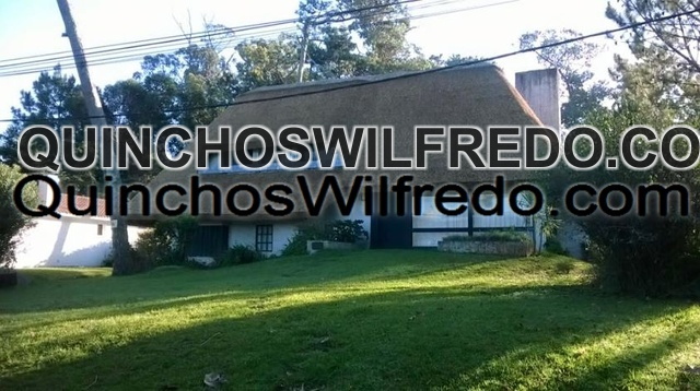 Quinchos Wilfredo
