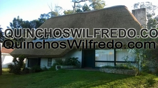Quinchos Wilfredo