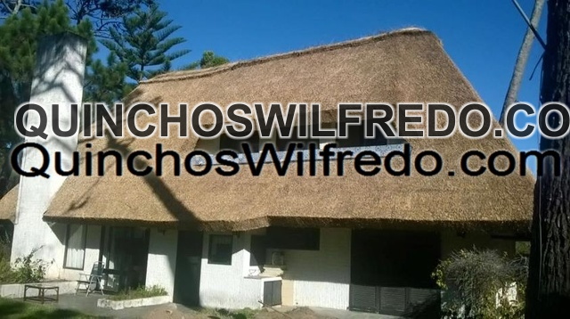 Quinchos Wilfredo