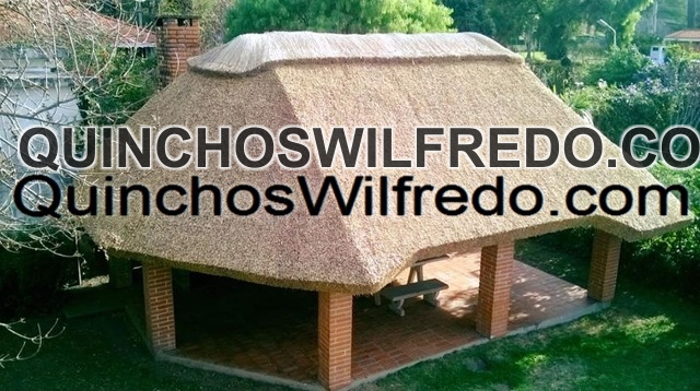Quinchos Wilfredo