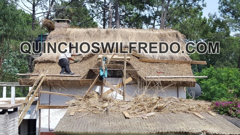 Quinchos Wilfredo