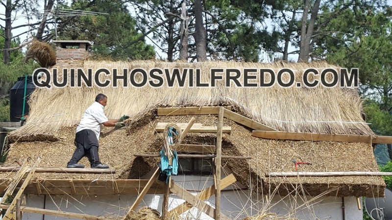 Quinchos Wilfredo
