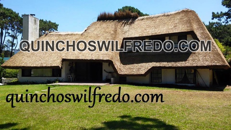 Quinchos Wilfredo