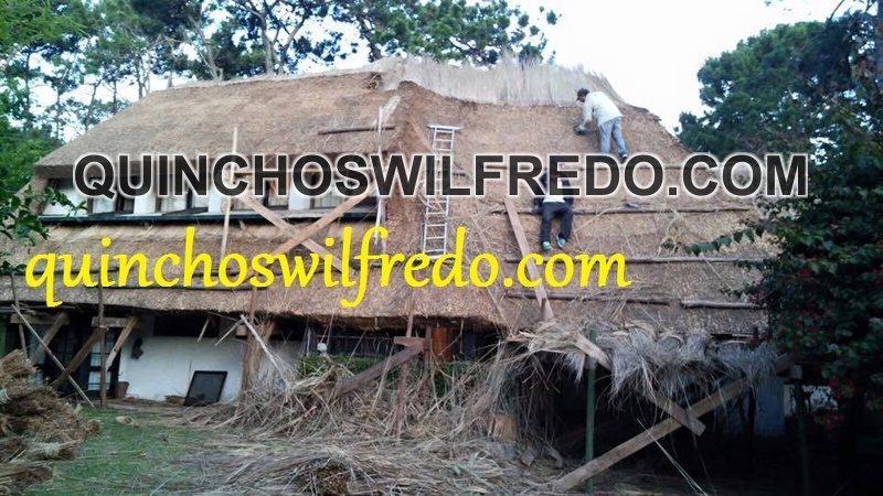 Quinchos Wilfredo