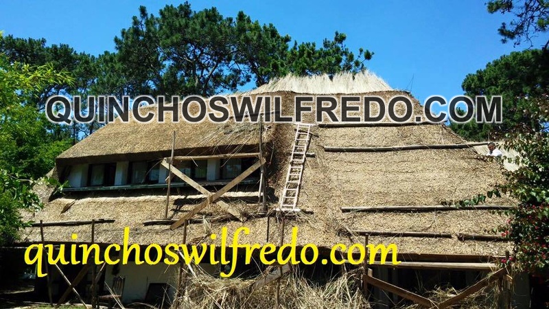 Quinchos Wilfredo