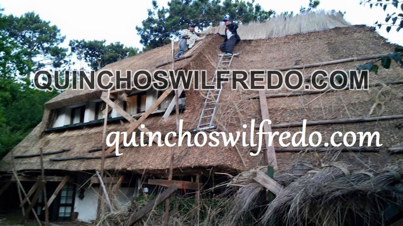 Quinchos Wilfredo