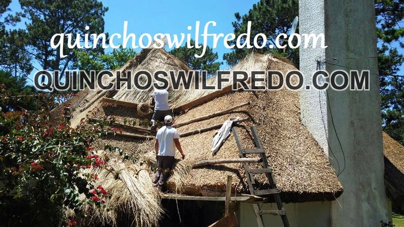 Quinchos Wilfredo