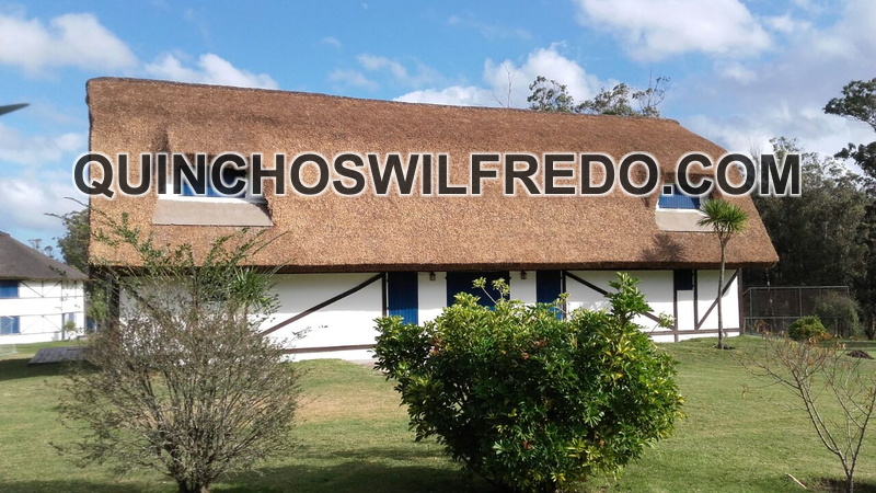 Quinchos Wilfredo