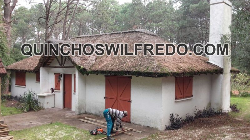 Quinchos Wilfredo