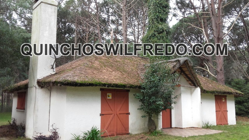 Quinchos Wilfredo
