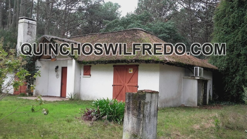 Quinchos Wilfredo