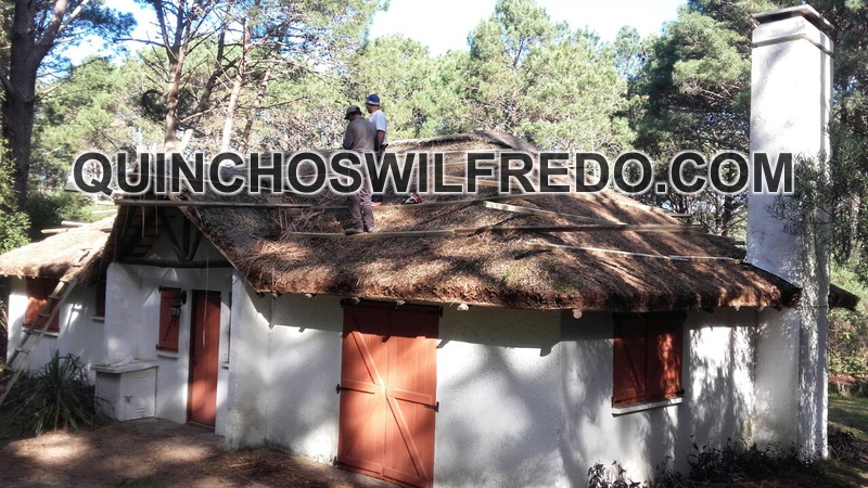 Quinchos Wilfredo
