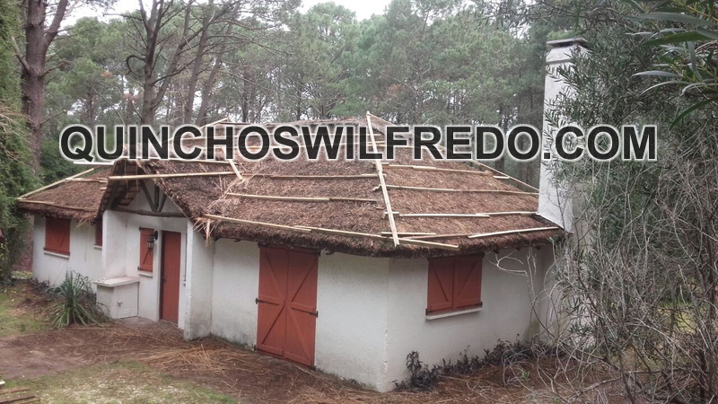 Quinchos Wilfredo