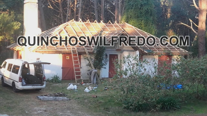 Quinchos Wilfredo