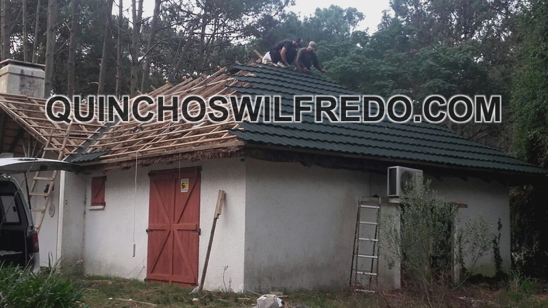 Quinchos Wilfredo