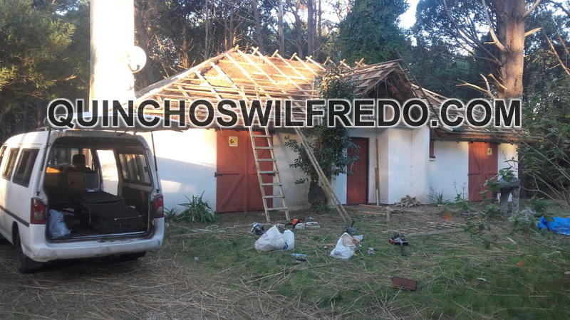 Quinchos Wilfredo